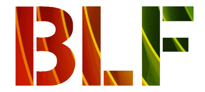 Sponsored briefing: Law firm profile: Benzakour Law Firm (BLF) – Morocco