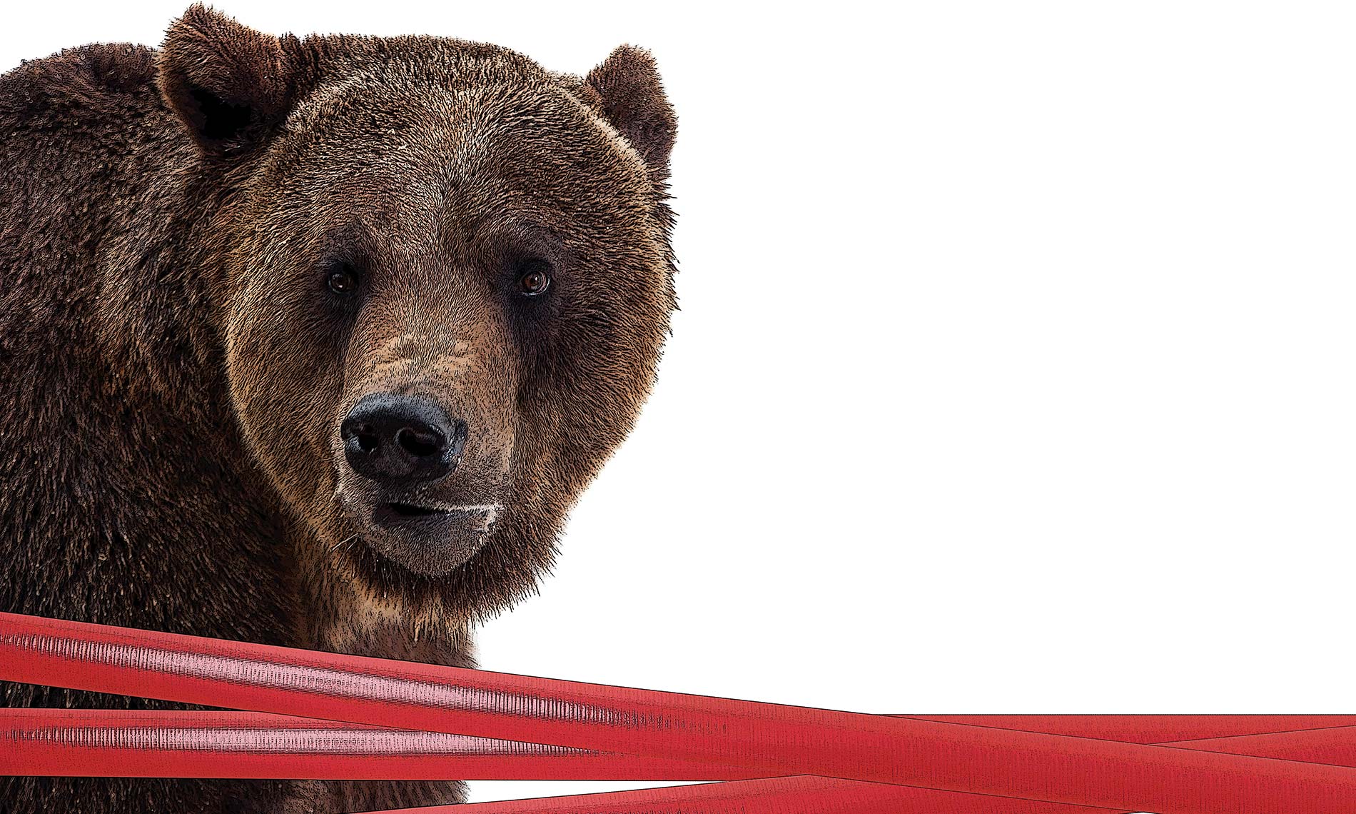 Chasing the bear – Sanctions bite on Russia’s legal market