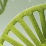 ESG in the DNA – embedding green purpose in law firm business