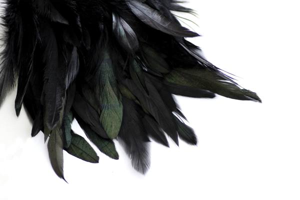 Beware the Black Swan