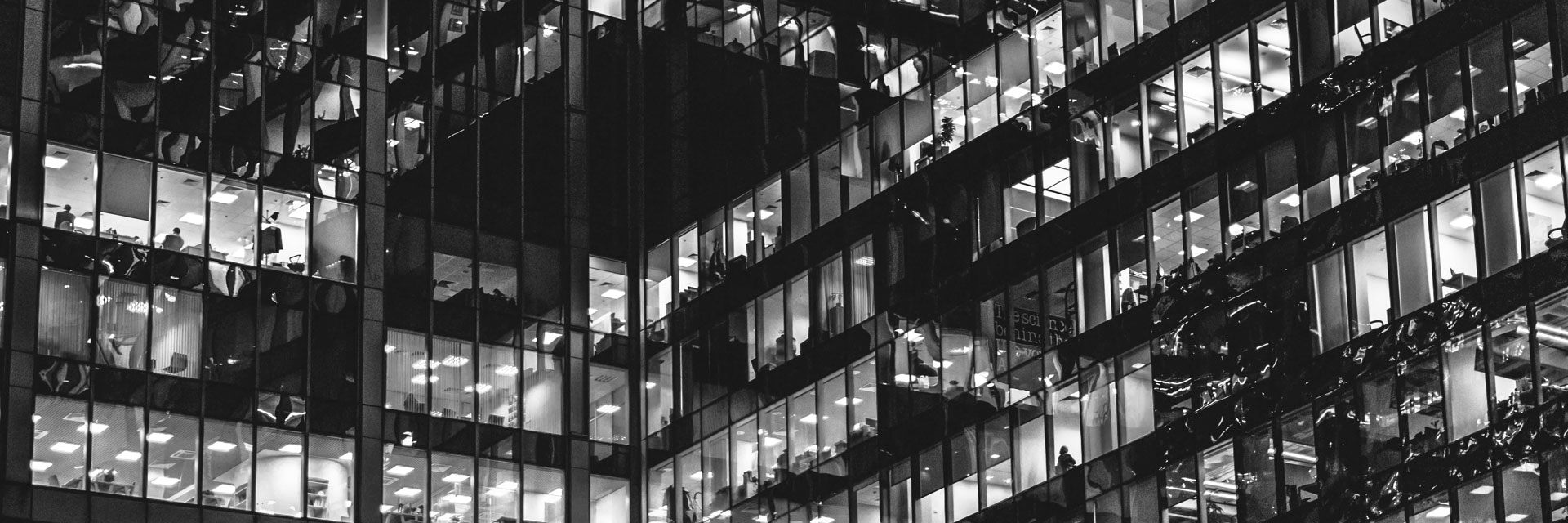 Shaping diversity: part two