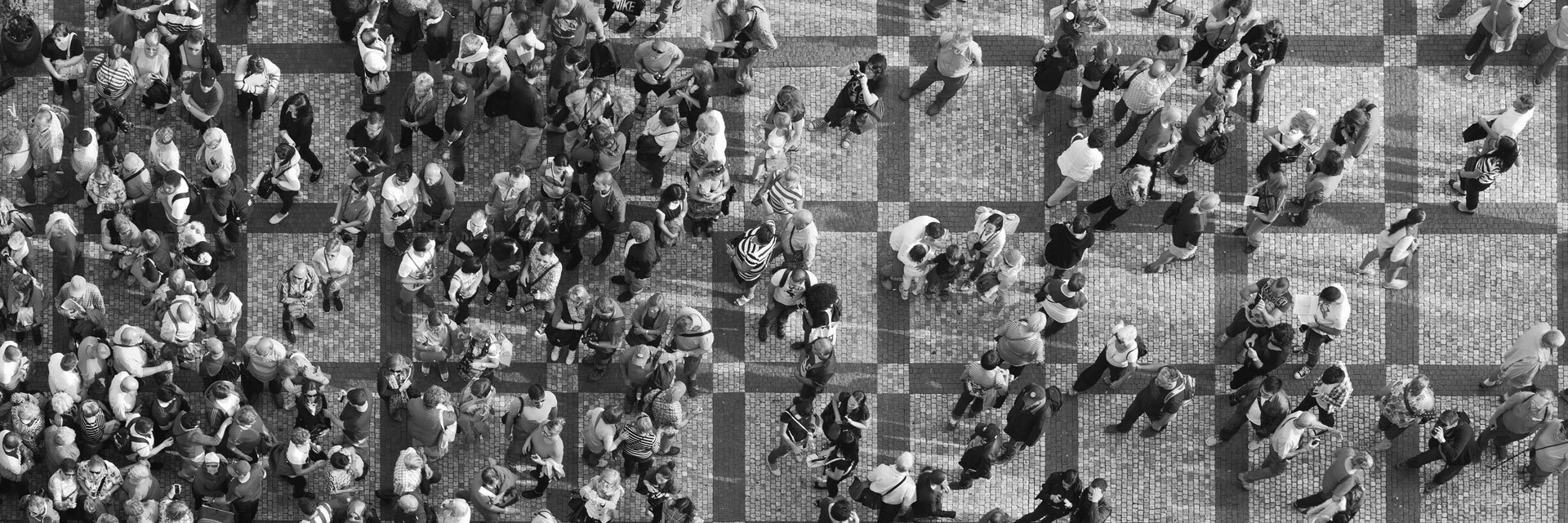 Shaping diversity: part three