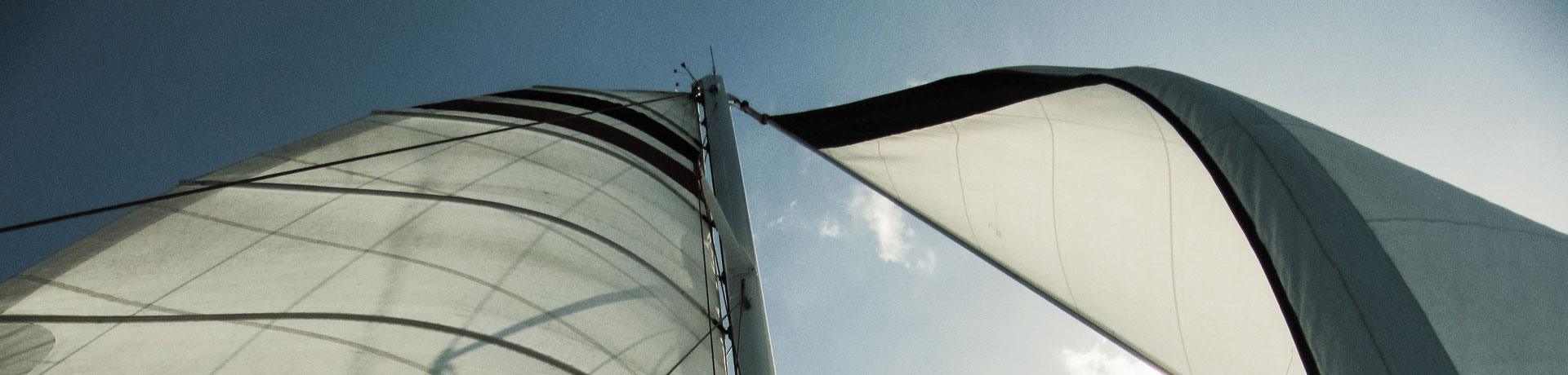Sailing the wind of change: leading the in-house legal function into a world of acceleration