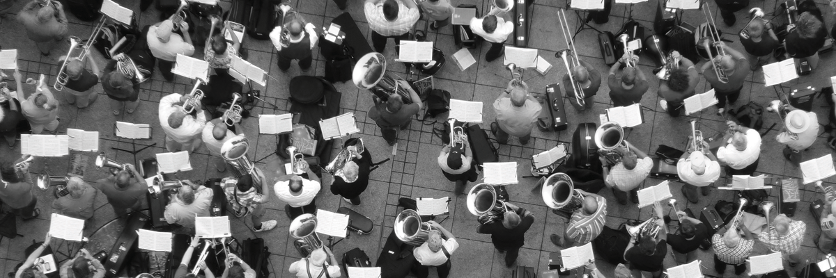 Shaping diversity: part three
