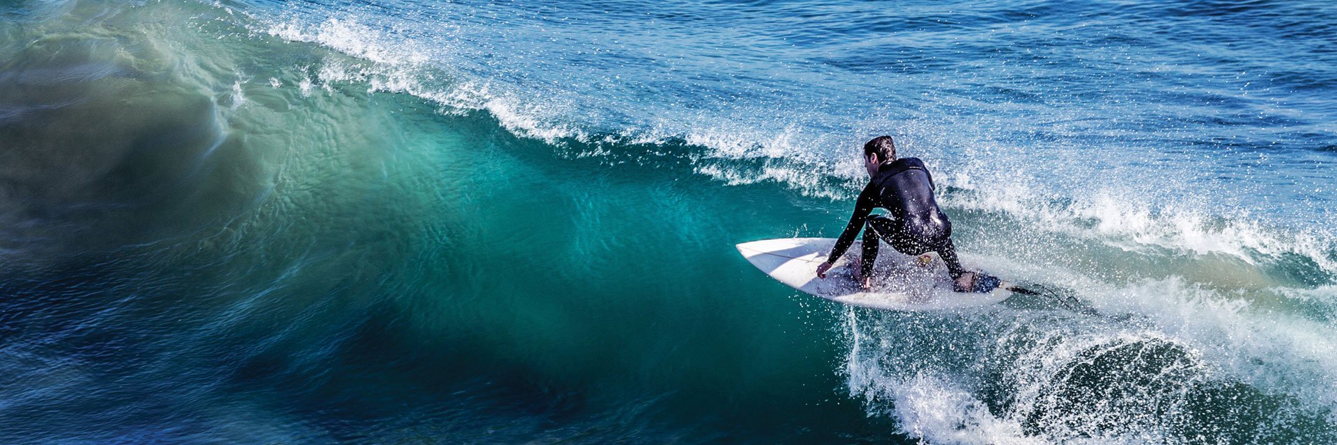 Riding the wave: how engaging with corporate sustainability can help GCs to demonstrate value